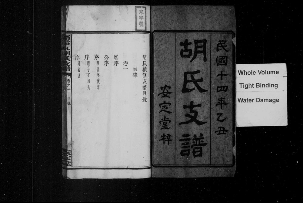 图片[2]-湖南宁乡益阳安化沅江宁益沅胡氏支谱（安定堂）电子版PDF下载-中华家谱网