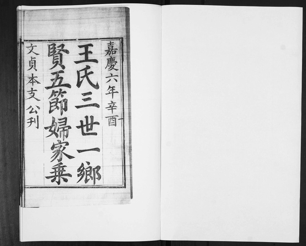 图片[3]-山东青岛即墨王氏家乘载荣录电子版PDF下载-中华家谱网