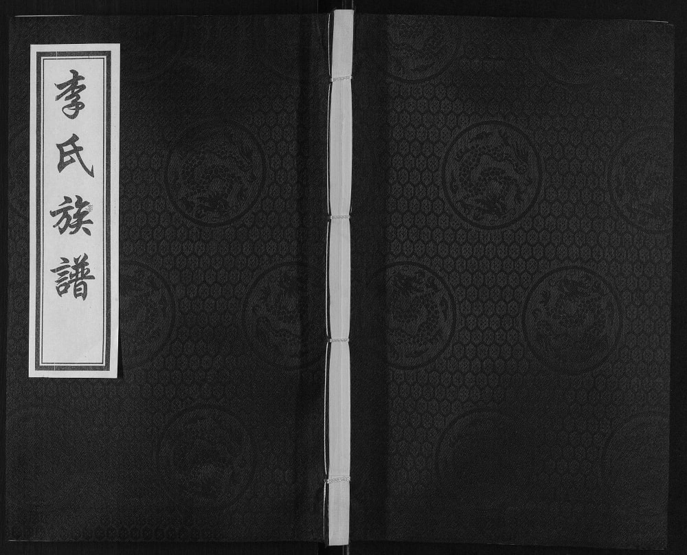 图片[1]-山东滨州惠民县李氏祖谱电子版PDF下载-中华家谱网