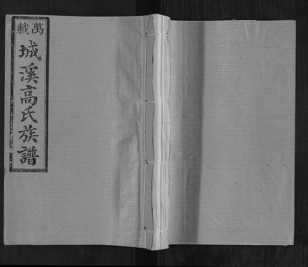 图片[1]-江西宜春万载城溪高氏族谱（渤海堂）电子版PDF下载-中华家谱网