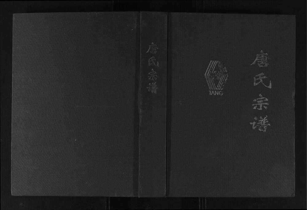 图片[1]-‌四川资阳安岳唐氏宗谱电子版PDF下载-中华家谱网