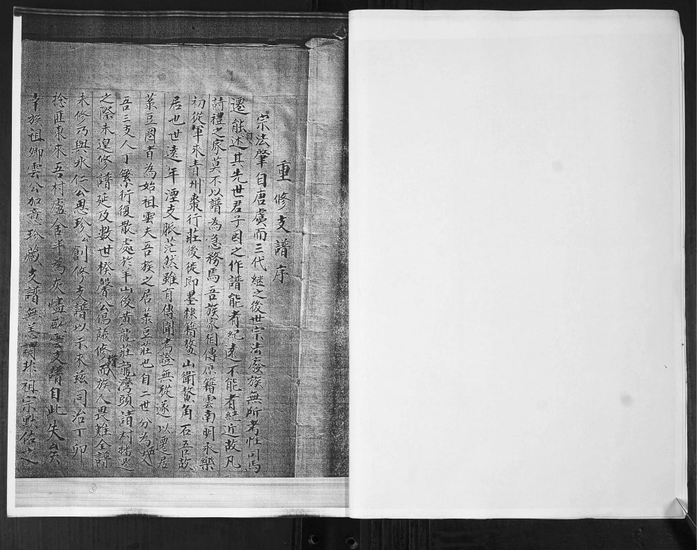 图片[2]-山东即墨龙湾头绿豆圈羊山后黄龙庄李氏族谱电子版PDF下载-中华家谱网