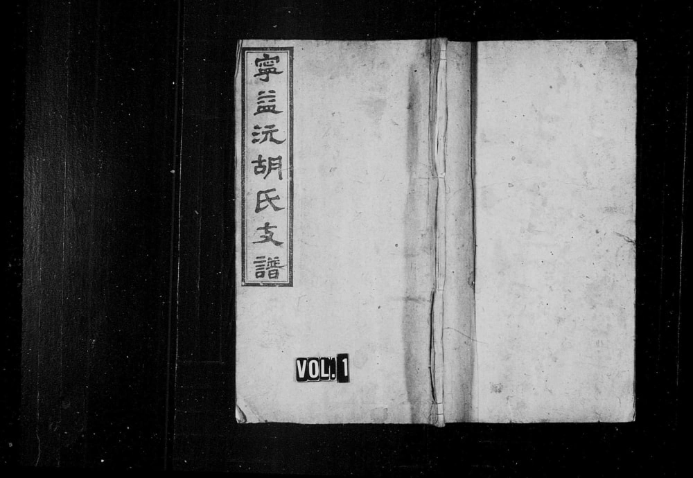 图片[1]-湖南宁乡益阳安化沅江宁益沅胡氏支谱（安定堂）电子版PDF下载-中华家谱网