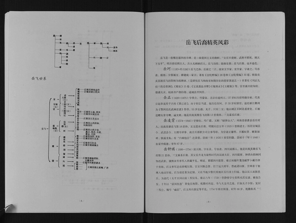 图片[4]-山西长治平顺县岳氏宗谱电子版PDF下载-中华家谱网