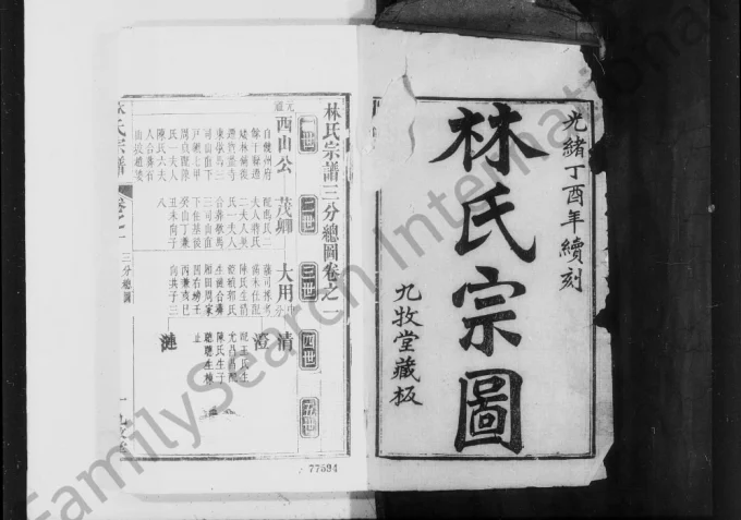 湖北麻城林氏宗谱(九牧堂)电子版PDF下载-中华家谱网