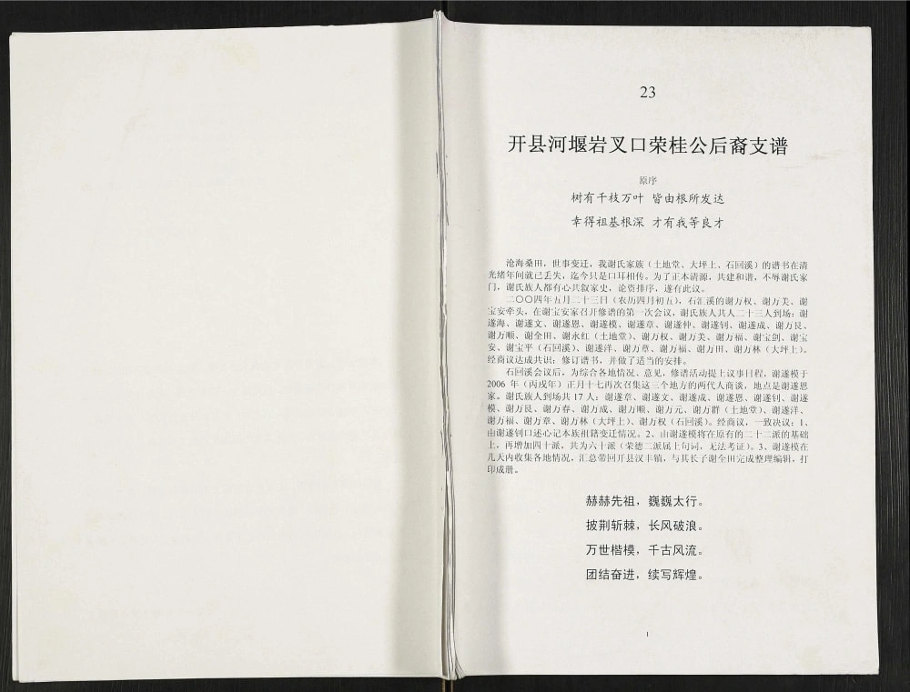 图片[1]-重庆开州区开县河堰岩叉口荣桂公后裔支谱电子版PDF下载-中华家谱网