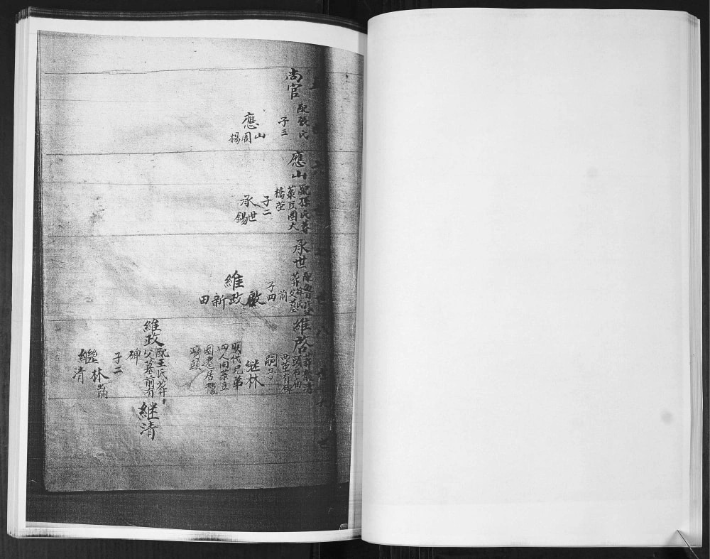 图片[6]-山东即墨龙湾头绿豆圈羊山后黄龙庄李氏族谱电子版PDF下载-中华家谱网