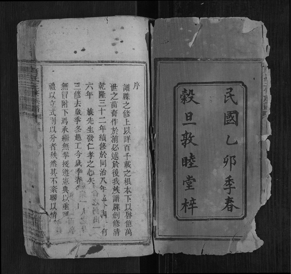 图片[2]-湖南邵东唐氏三修族谱（敦睦堂）电子版PDF下载-中华家谱网