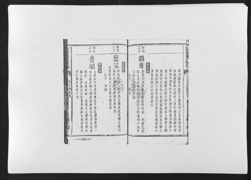 图片[6]-江西赣州石城县坊郭里宋氏族谱电子版PDF下载-中华家谱网