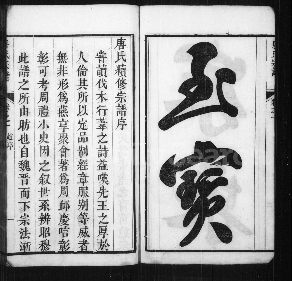 图片[1]-安徽池州石台县唐氏宗谱电子版PDF下载-中华家谱网