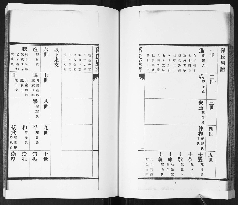 图片[5]-山东青岛即墨东塔子夼孙氏族谱（继述堂）电子版PDF下载-中华家谱网