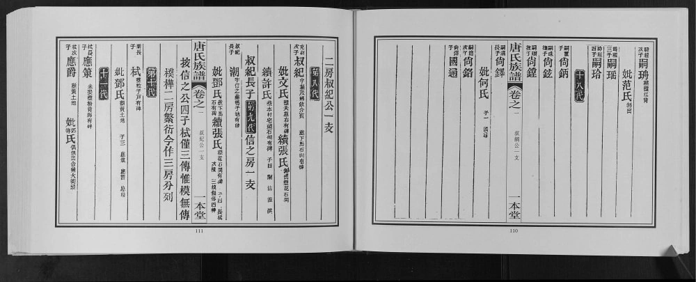 图片[6]-广西桂林灌阳县东鲁郡昭仪唐氏宗谱（一本堂）电子版PDF下载-中华家谱网