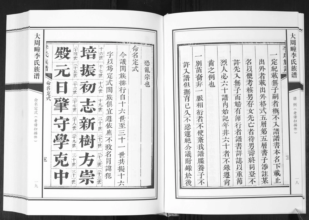 图片[3]-山东青岛即墨大周疃李氏族谱电子版PDF下载-中华家谱网