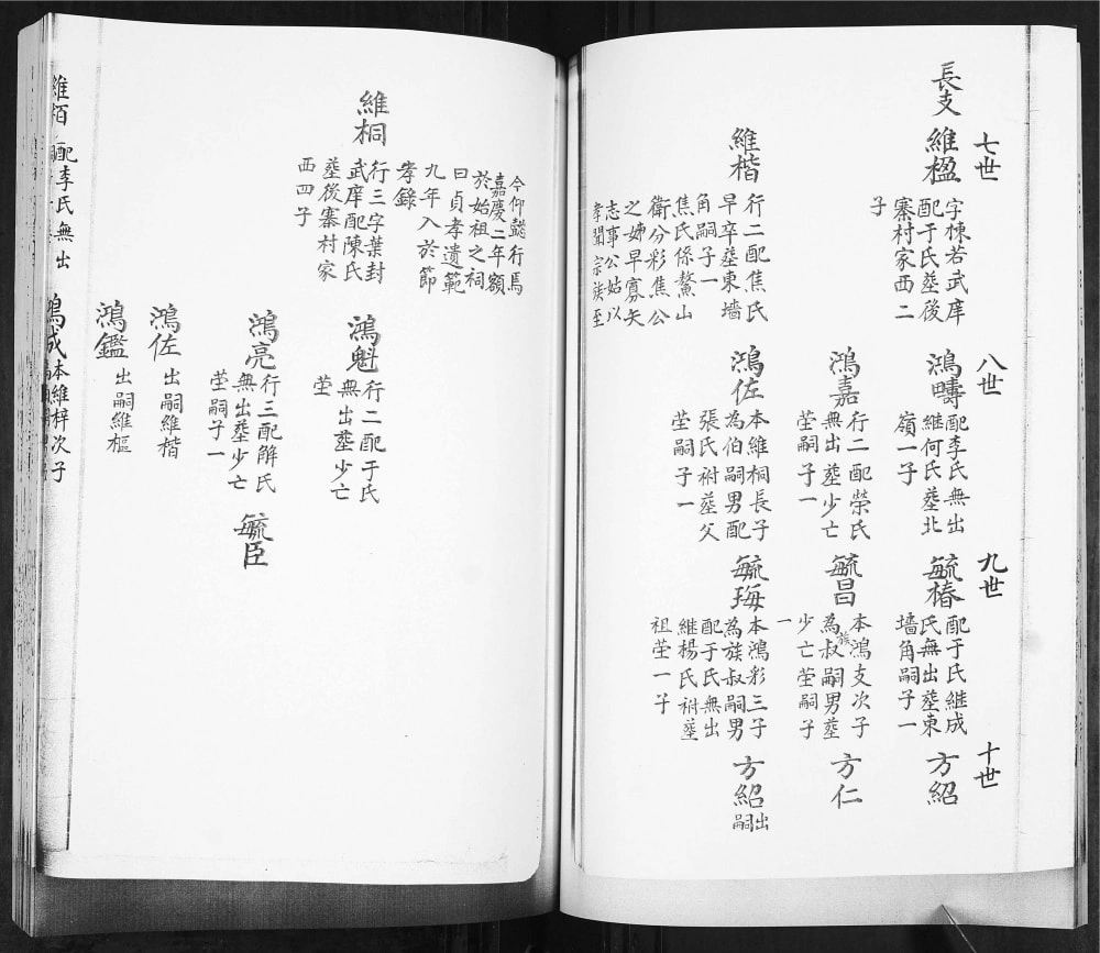 图片[8]-山东青岛即墨林氏世谱电子版PDF下载-中华家谱网