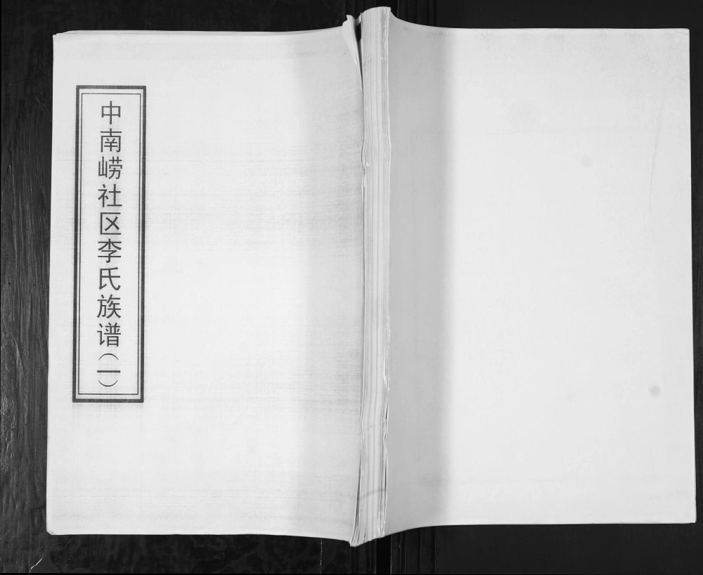 图片[1]-山东青岛崂山区中南崂社区李氏族谱电子版PDF下载-中华家谱网
