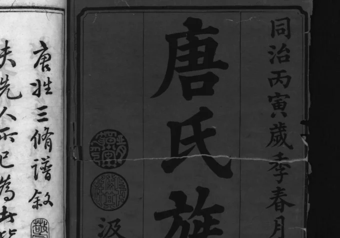 湖南益阳安化唐氏三修族谱(晋阳堂)电子版PDF下载-中华家谱网