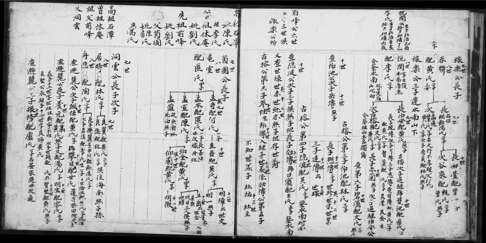 图片[5]-广东江门新会区白石唐氏族谱电子版PDF下载-中华家谱网