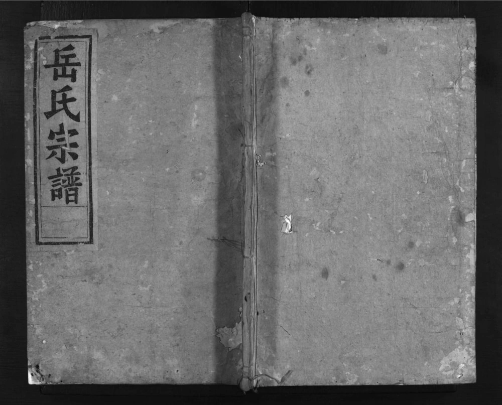 图片[1]-浙江金华兰溪兰江岳氏宗谱（忠孝堂）电子版PDF下载-中华家谱网