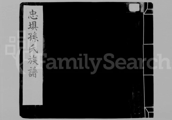 广东河源紫金县忠坝孙氏族谱电子版PDF下载-中华家谱网
