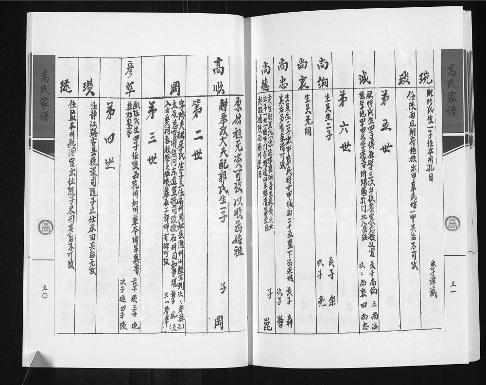 图片[4]-山西吕梁中阳县下枣林村高氏家谱电子版PDF下载-中华家谱网