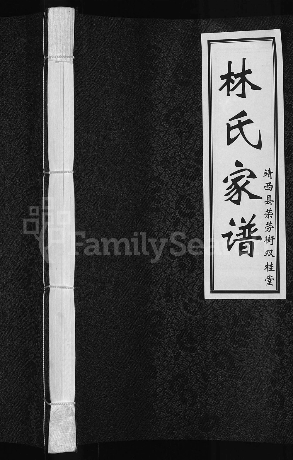 图片[1]-广西靖西荣劳街林氏家谱（双桂堂）电子版PDF下载-中华家谱网