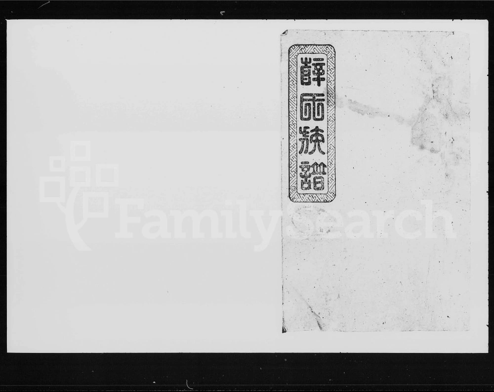 图片[1]-湖南益阳薛氏族谱电子版PDF下载-中华家谱网