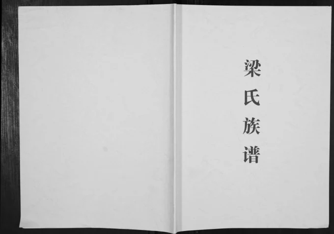 广西柳州三江县梁氏族谱(安定堂)电子版PDF下载-中华家谱网