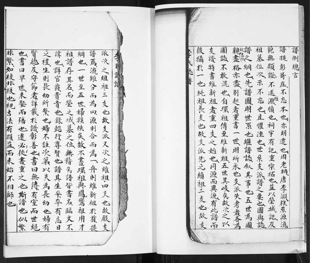 图片[4]-山东青岛即墨李氏谱志（务本堂）电子版PDF下载-中华家谱网