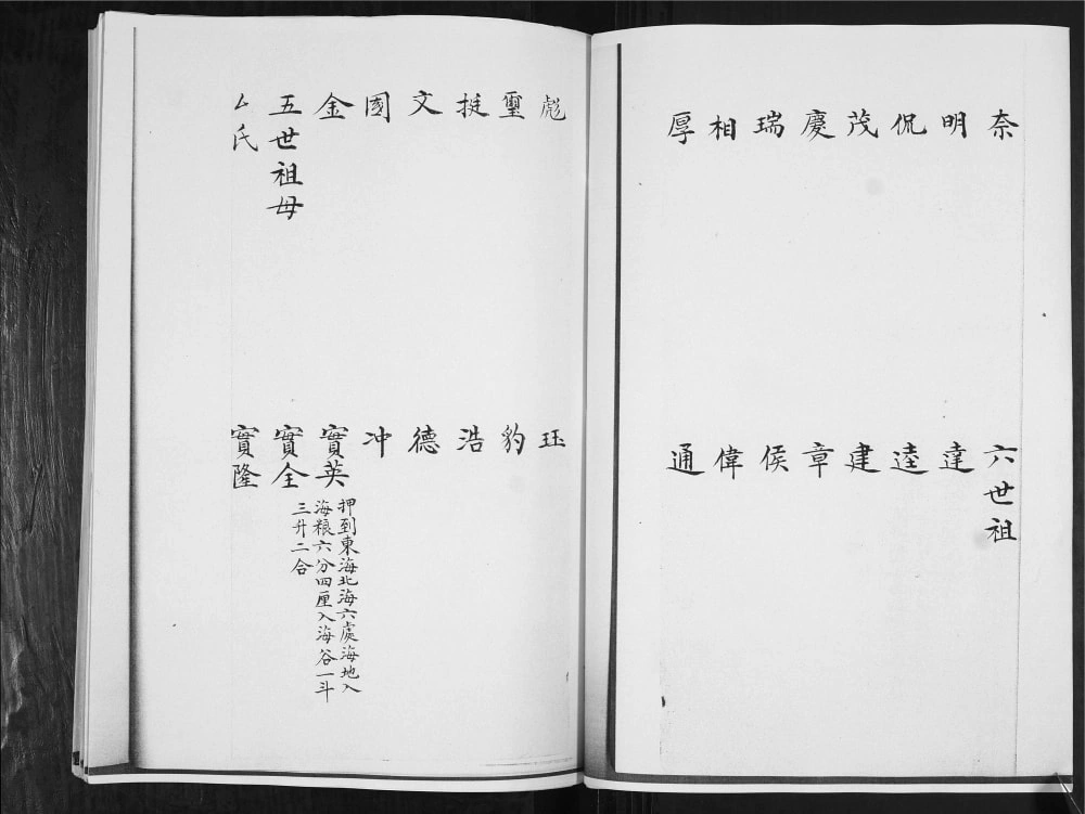 图片[7]-山东青岛即墨韩氏族谱分支电子版PDF下载-中华家谱网