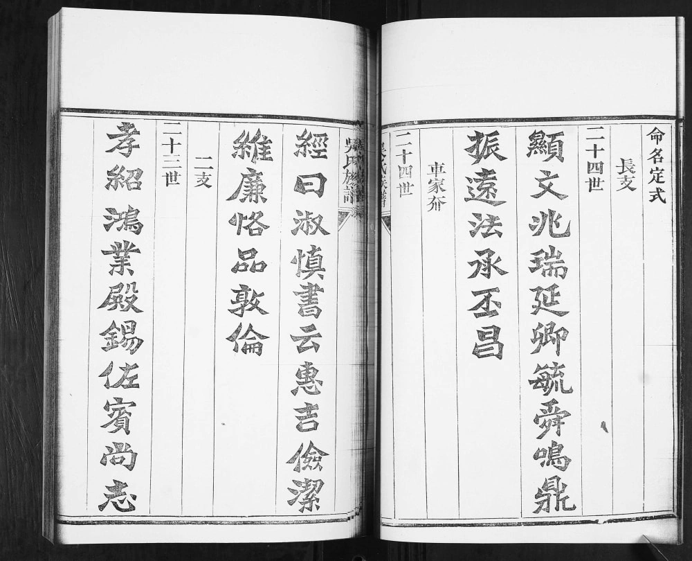 图片[4]-山东青岛即墨王村吴氏族谱（垂裕堂）电子版PDF下载-中华家谱网