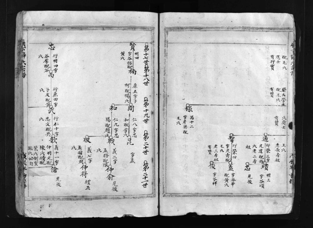 图片[4]-浙江乐清岭下薛氏宗谱电子版PDF下载-中华家谱网