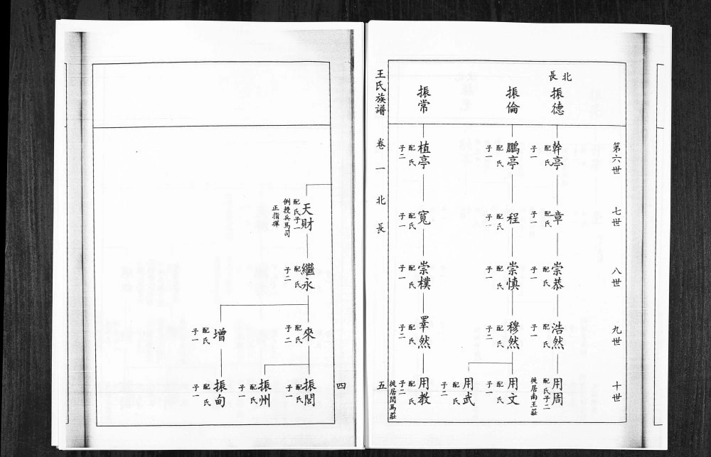 图片[6]-山东淄博桓台斜沟王氏族谱电子版PDF下载-中华家谱网
