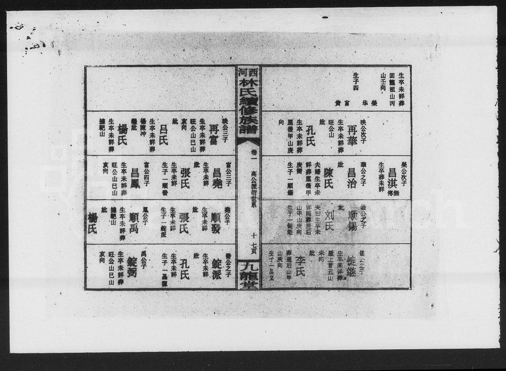图片[8]-湖南邵阳西河林氏四修族谱（九龙堂）电子版PDF下载-中华家谱网