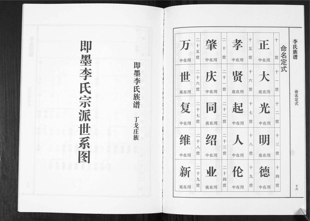 图片[4]-山东青岛即墨丁戈庄族李氏族谱电子版PDF下载-中华家谱网