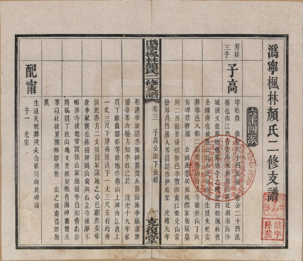 图片[5]-湖南长沙宁乡县沩宁枫林颜氏二修支谱（克复堂）电子版PDF下载-中华家谱网