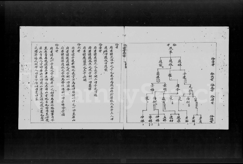 图片[7]-广东佛山南海区林氏族谱（昭兹堂）电子版PDF下载-中华家谱网