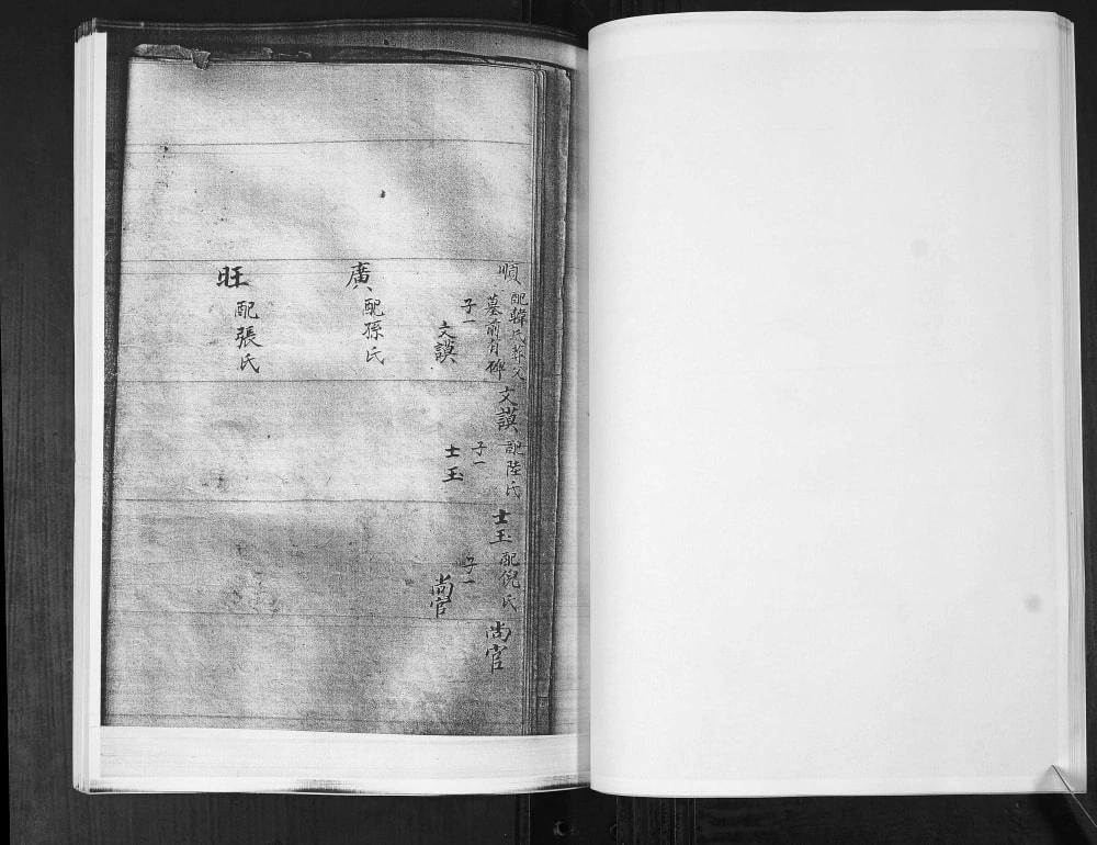 图片[5]-山东即墨龙湾头绿豆圈羊山后黄龙庄李氏族谱电子版PDF下载-中华家谱网