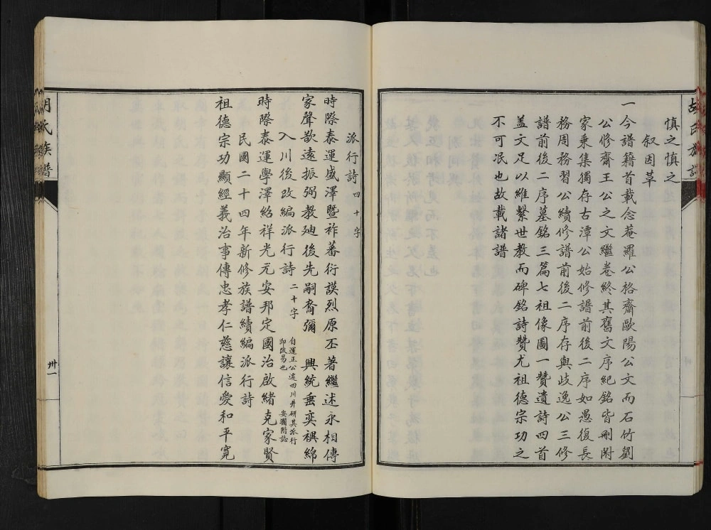 图片[3]-四川乐山井研胡氏宗谱电子版PDF下载-中华家谱网