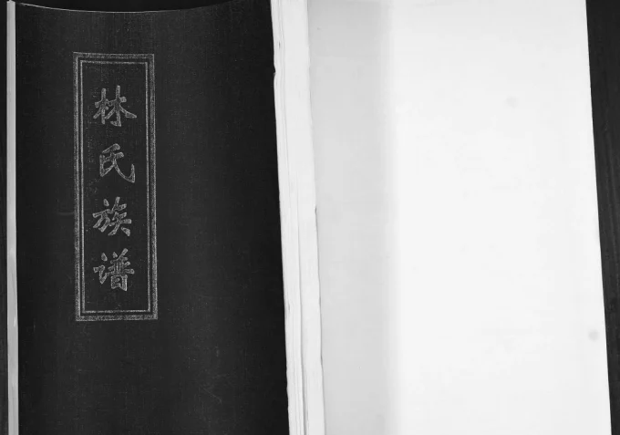 山东青岛即墨林氏族谱提纲宗派图电子版PDF下载-中华家谱网