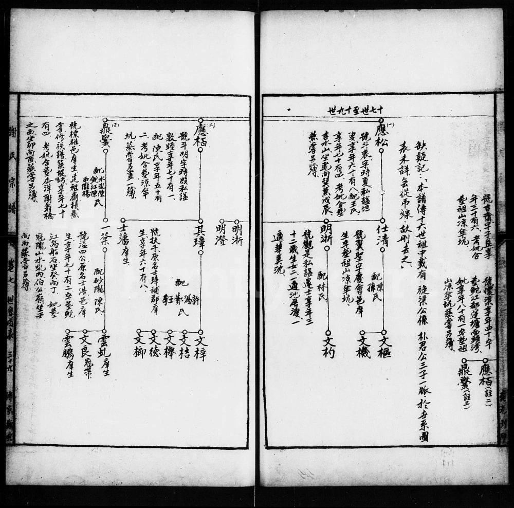 图片[8]-广东揭阳谢氏宗谱电子版PDF下载-中华家谱网
