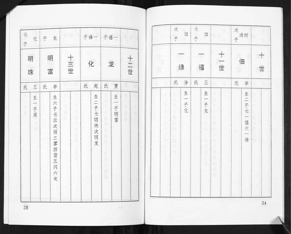图片[6]-山西太原娄烦县罗氏家谱电子版PDF下载-中华家谱网