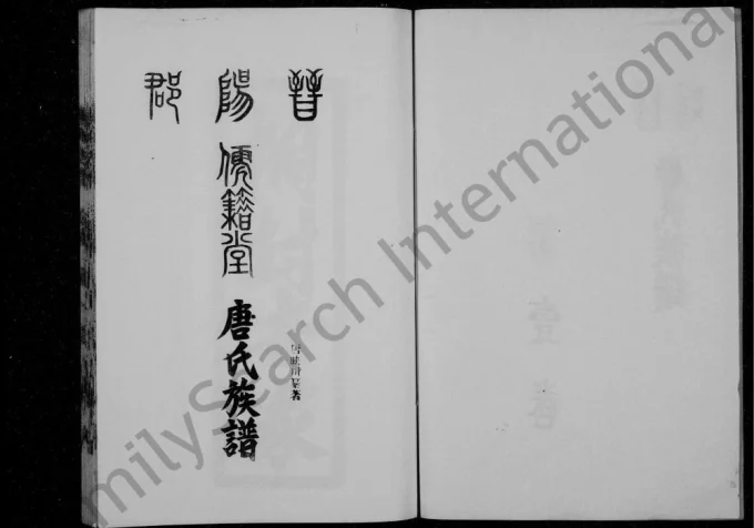四川达州宣汉县唐氏族谱(儒籍堂)电子版PDF下载-中华家谱网