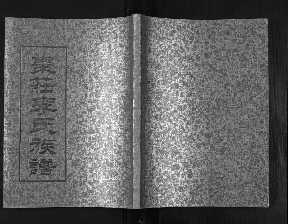 图片[1]-山东枣庄李氏族谱电子版PDF下载-中华家谱网