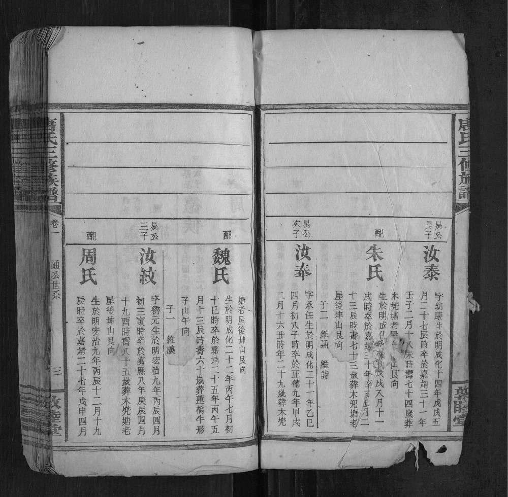 图片[7]-湖南邵东唐氏三修族谱（敦睦堂）电子版PDF下载-中华家谱网