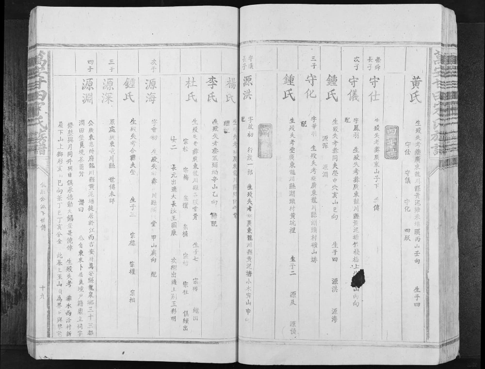 图片[5]-江西吉安万安甘田宋氏族谱（鼎新堂）电子版PDF下载-中华家谱网