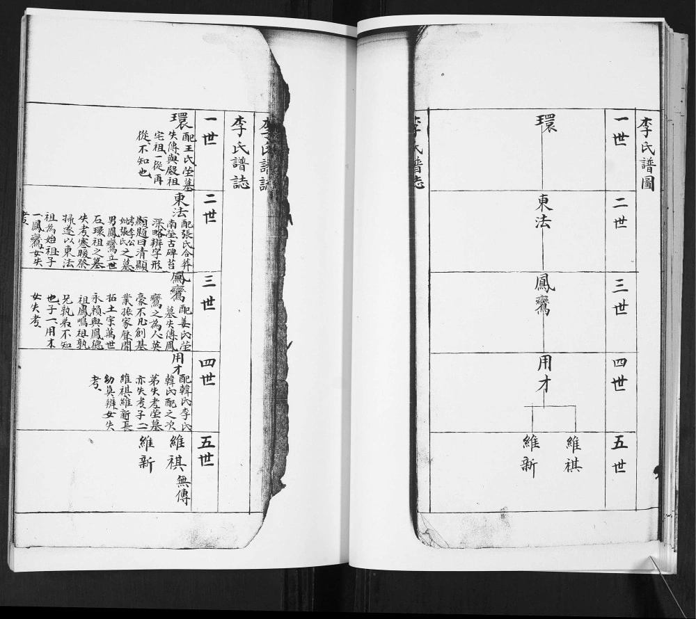 图片[5]-山东青岛即墨李氏谱志（务本堂）电子版PDF下载-中华家谱网