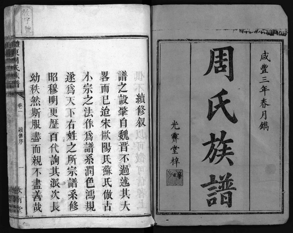 图片[1]-湖南醴陵醴东周氏族谱（汝南堂）电子版PDF下载-中华家谱网