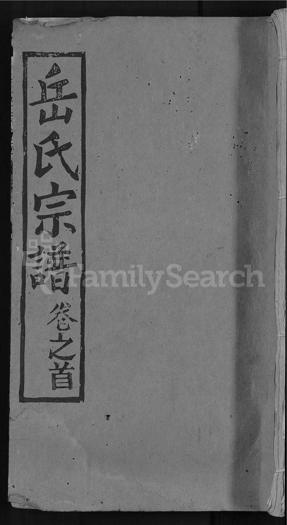 图片[1]-湖北武汉新洲区岳氏宗谱（忠武堂）电子版PDF下载-中华家谱网