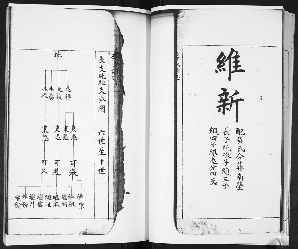 图片[6]-山东青岛即墨李氏谱志（务本堂）电子版PDF下载-中华家谱网