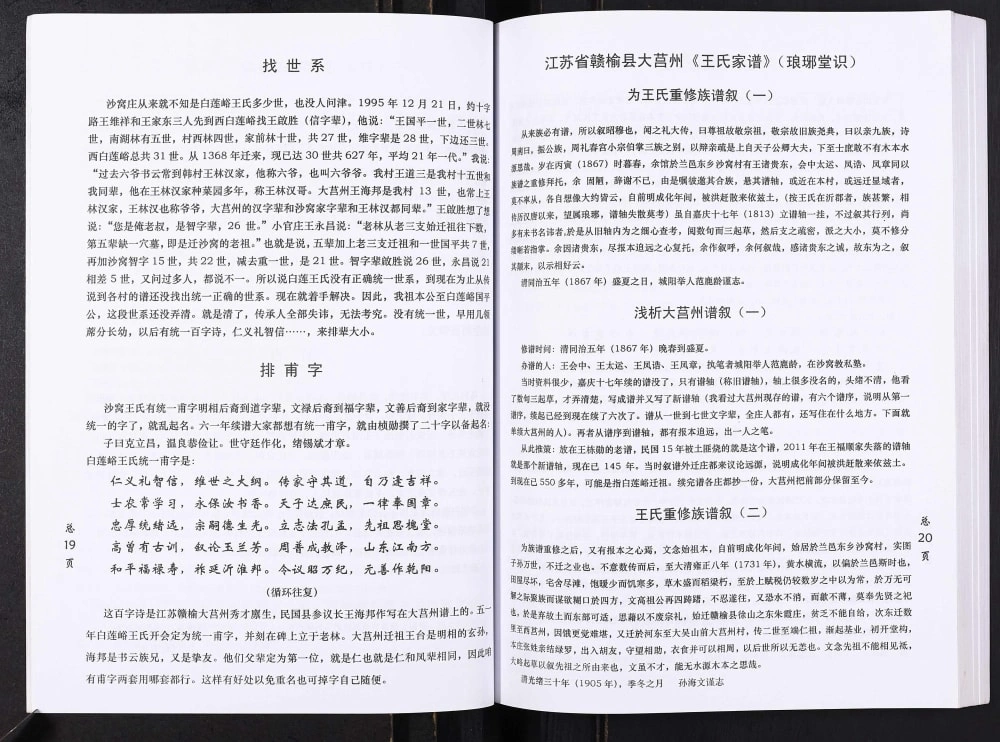 图片[4]-山东临沂莒南县沙窝王氏宗谱电子版PDF下载-中华家谱网
